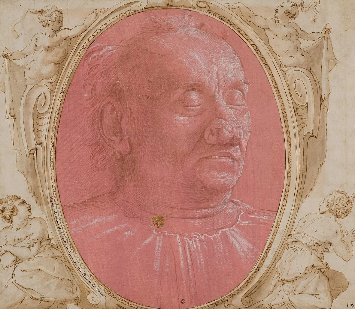 Testa di un vecchio